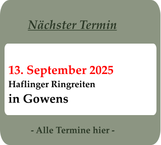 - Alle Termine hier - 13. September 2025 Haflinger Ringreitenin Gowens Nächster Termin